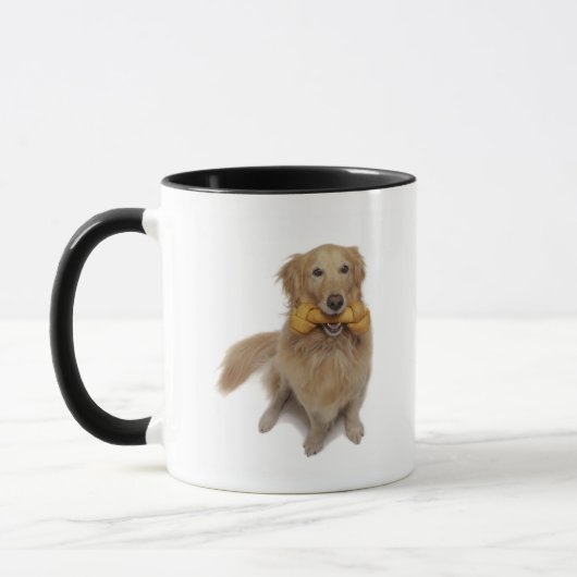 Golden Retriever Hond met been Mok (Links)