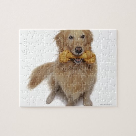 Golden Retriever Hond met bot in de mond Legpuzzel (Horizontaal)