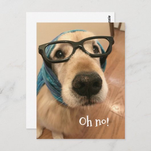 Golden Retriever-hond met bril verjaardag gemist Briefkaart (Voorkant / Achterkant)