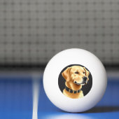 Golden Retriever hond met een leren halsband Pingpongbal (Net)