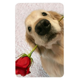 Golden Retriever hond met rode roze Magneet