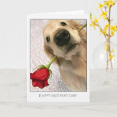 Golden Retriever hond met rode roze Moederdag Kaart (Gele Bloem)