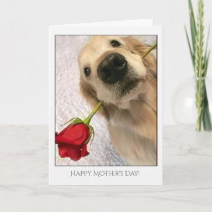 Golden Retriever hond met rode roze Moederdag Kaart