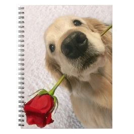 Golden Retriever hond met rode roze Notitieboek