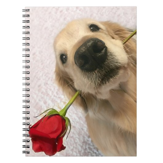 Golden Retriever hond met rode roze Notitieboek (Voorkant)