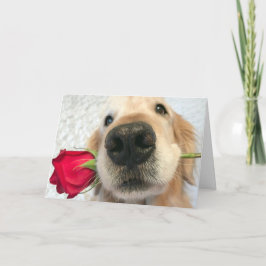 Golden Retriever hond met rode roze Valentijnsdag Feestdagen Kaart