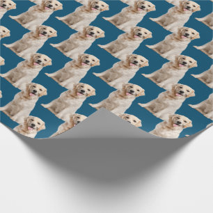 Golden retriever hond op blauw cadeaupapier