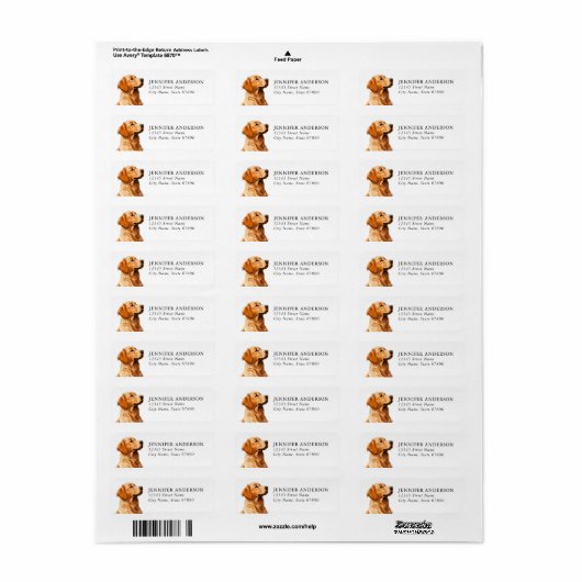 Golden Retriever Hond Retouradres Labels (Full Sheet)