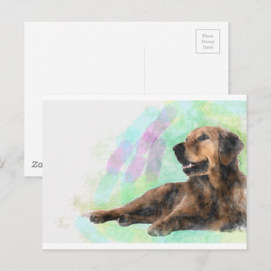 Golden Retriever Hond Water Kleur Schilderij Briefkaart (Voorkant / Achterkant)