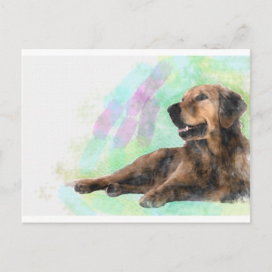 Golden Retriever Hond Water Kleur Schilderij Briefkaart (Voorkant)