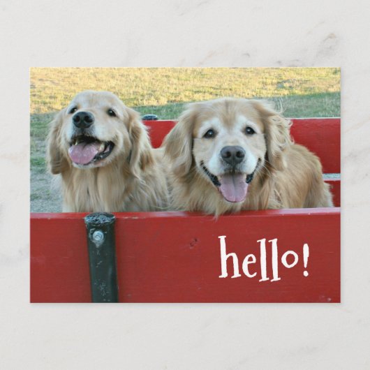 Golden Retriever Honden in Red Wagon Thinking of Y Briefkaart (Voorkant)