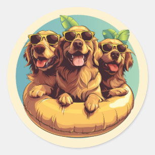 Golden Retriever Honden Zomer Zwembad Floaties Ronde Sticker