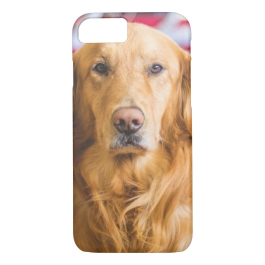 Golden Retriever hondenportret Case-Mate iPhone Case (Achterkant)