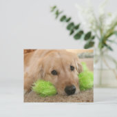 Golden Retriever hoorde dat je ziek werd. Briefkaart (Staand voorkant)