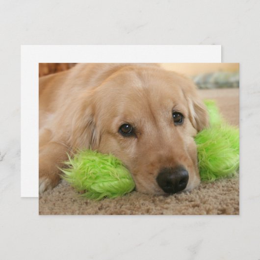 Golden Retriever hoorde dat je ziek werd. Briefkaart (Voorkant / Achterkant)