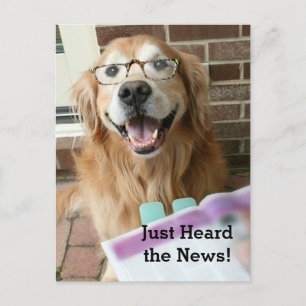 Golden Retriever hoorde gewoon de nieuwbouwer Briefkaart