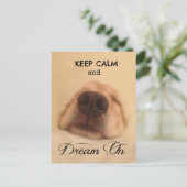 Golden Retriever houdt kalm dromen aan Briefkaart (Staand voorkant)