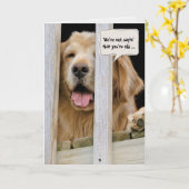 Golden Retriever humor Verjaardag Kaart (Gele Bloem)