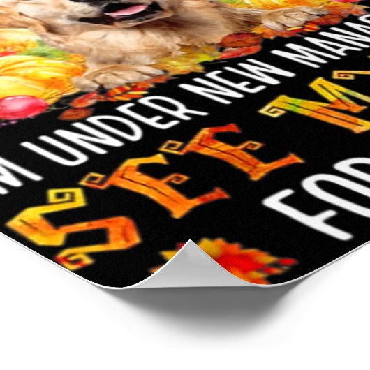 Golden Retriever I Am Not Retired I'm Under New Ma Poster (Hoek)