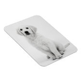Golden Retriever i Magneet (Rechterzijde)