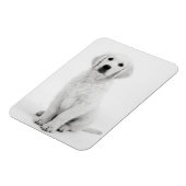 Golden Retriever i Magneet (Linkerzijde)