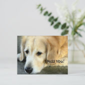 Golden Retriever/I Miss You Briefkaart (Staand voorkant)