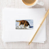 Golden Retriever IEDEREEN STOP! Ik heb mijn contac Etiket (Insitu)