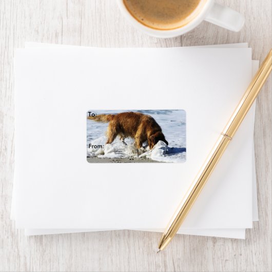 Golden Retriever IEDEREEN STOP! Ik heb mijn contac Etiket (Insitu)