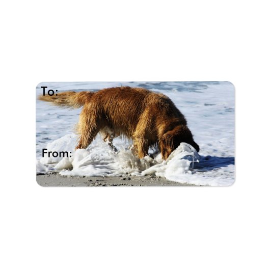 Golden Retriever IEDEREEN STOP! Ik heb mijn contac Etiket (Voorkant)