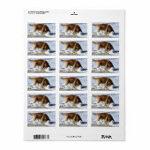 Golden Retriever IEDEREEN STOP! Ik heb mijn contac Etiket (Full Sheet)
