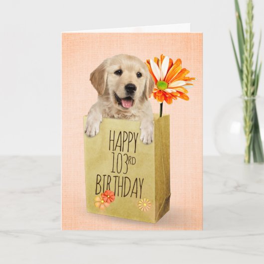 Golden Retriever in 103rd Birthday Bag Kaart (Voorkant)