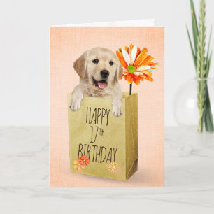 Golden Retriever in 17th Birthday Bag Kaart