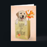Golden Retriever in 18th Birthday Bag Kaart<br><div class="desc">Cute golden recovery in een generieke bruine papieren zak met oranje gerbera daisy voor 18e verjaardag. De tekst/de leeftijd kunnen worden uitgegeven.</div>