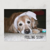 Golden Retriever in Bandages wordt snel beter Briefkaart (Voorkant)