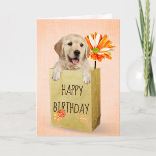 Golden Retriever in Birthday Bag Kaart