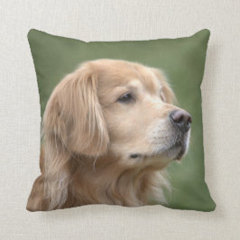 Golden Retriever in Close Kussen