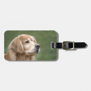 Golden Retriever in Closeup Bagagelabel