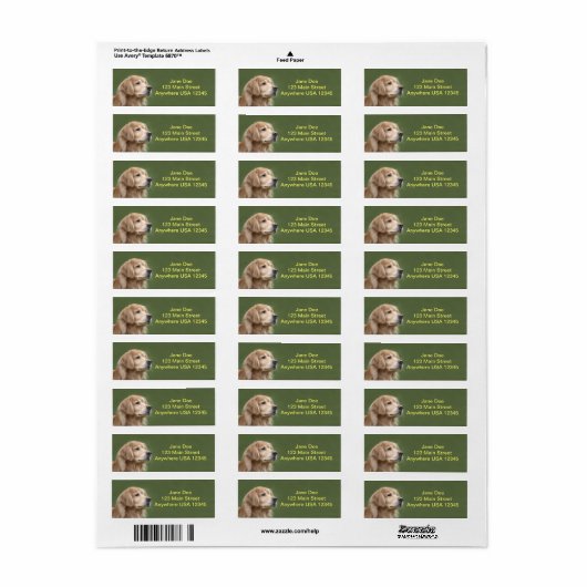 Golden Retriever in Closeup Etiket (Full Sheet)