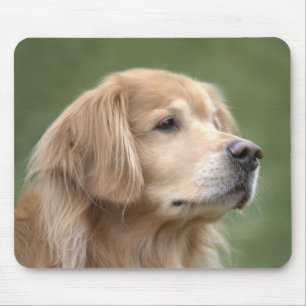 Golden Retriever in Closeup Muismat
