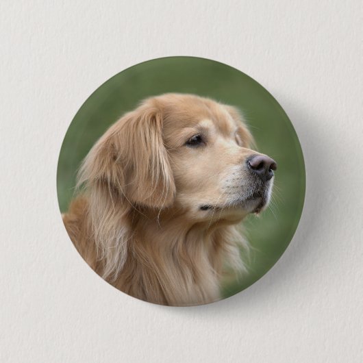 Golden Retriever in Closeup Ronde Button 5,7 Cm (Voorkant)