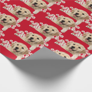 Golden Retriever in dagboeken op rood Cadeaupapier