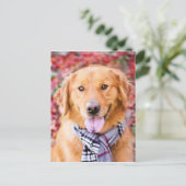 Golden Retriever in de carf Briefkaart (Staand voorkant)