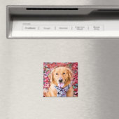 Golden Retriever in de carf Magneet (Insitu (Vaatwasser))