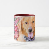 Golden Retriever in de carf Mok (Midden)