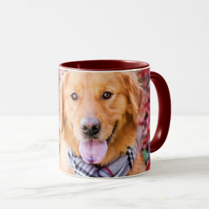 Golden Retriever in de carf Mok
