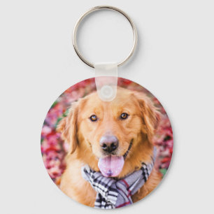 Golden Retriever in de carf Sleutelhanger