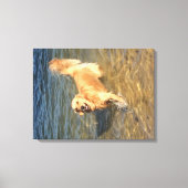 Golden retriever in de oceaan canvas afdruk (Voorkant)
