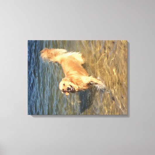 Golden retriever in de oceaan canvas afdruk (Voorkant)