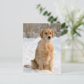 Golden Retriever in de sneeuw Briefkaart (Staand voorkant)