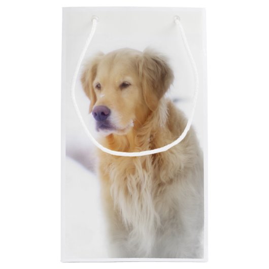 Golden Retriever in de sneeuw Klein Cadeauzakje (Achterkant)